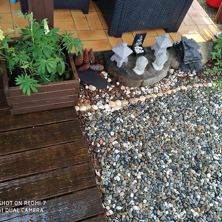 Chalet Camping Les Vignes Lit-et-Mixe Luaran gambar