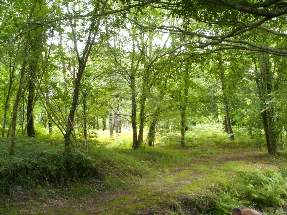 Chalet Camping Les Vignes Lit-et-Mixe Luaran gambar
