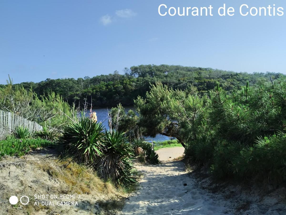 Chalet Camping Les Vignes Lit-et-Mixe Luaran gambar